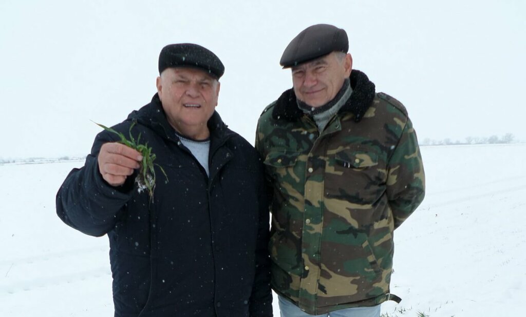 До Теплого Олекси треба багато чого встигнути