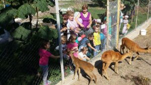 Екзотичний подарунок дітям