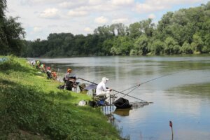 Лящ благородно помахав хвостом, або Про що «думає» риба