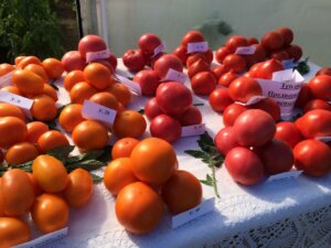 Якість продуктів – гордість республіки
