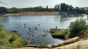 Не можна ділити Дністер між берегами й державами