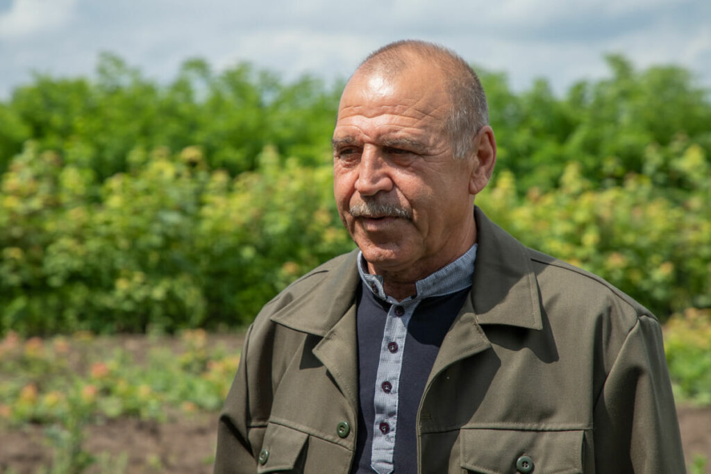 У Григоріопольському лісовому господарстві