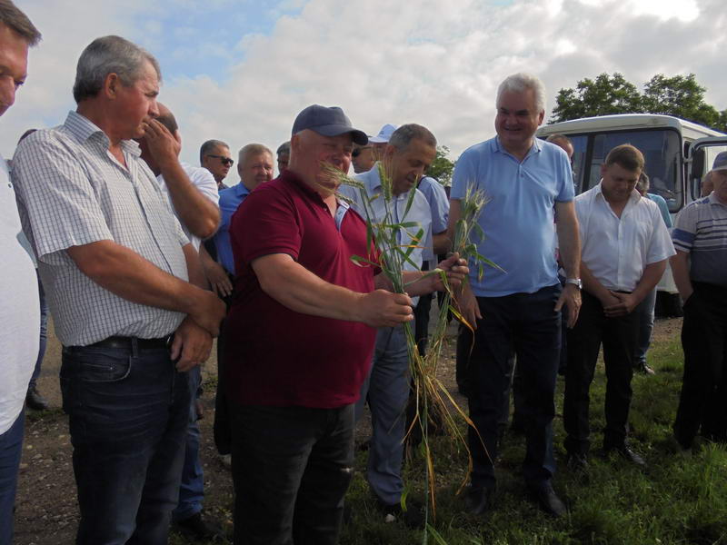 Коли хліб на возі, не буде біди в дорозі