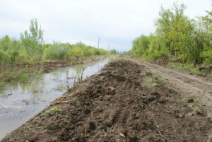 Ще раз про продовольчу безпеку