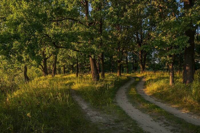 Природа Придністров’я – в надійних руках