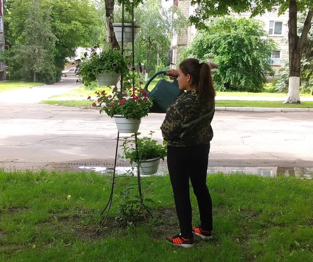 Сотні хризантем – на вулицях Кам’янки
