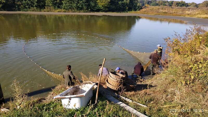 Осіння меліорація рибогосподарських водойм