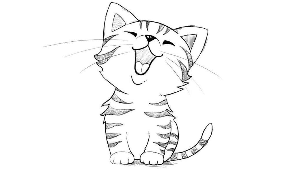 Як котик у школі вчився