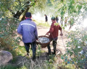 Цьоголітки «вийшли» на велику воду