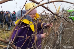 День святого Трифона Зарізана