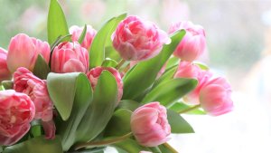 З Міжнародним жіночим днем 8 Березня
