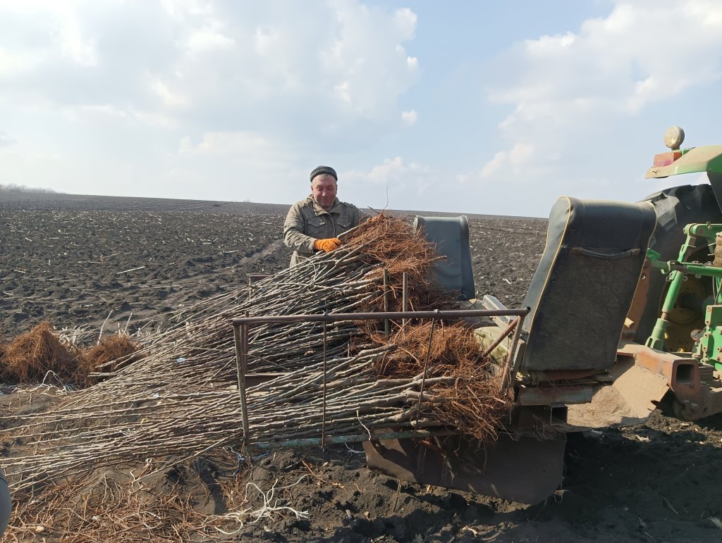 Завод створює сировинну базу