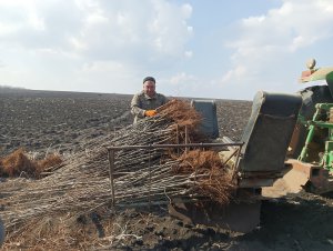 Завод створює сировинну базу