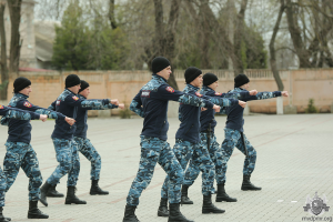 Покликання –  захищати