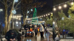 Вогники новорічних бажань