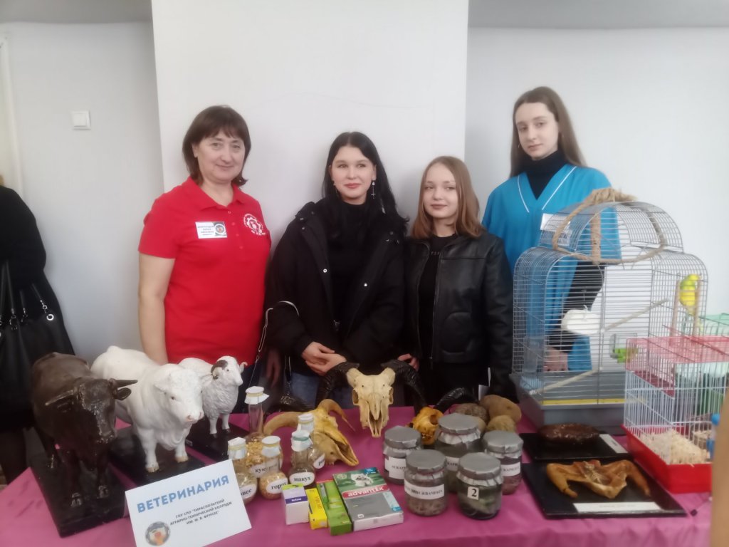 Ярмарок  навчальних місць