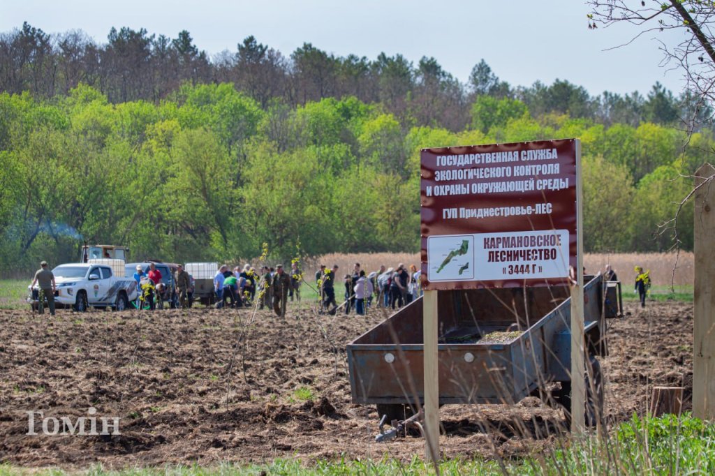 Зелені легені республіки