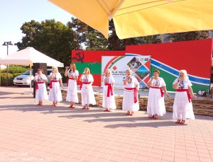 Як Григоріополь  у липні ярмаркував
