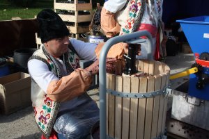 Свято виноградної лози,  сонячних ягід та іскристого напою