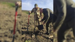 Збагачення зелених насаджень – СПІЛЬНА СПРАВА
