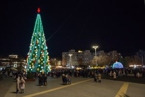 Ялинка столиці засяяла  яскравими вогнями
