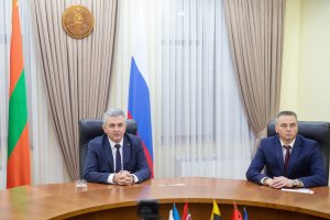 Новорічні сюрпризи року Змії