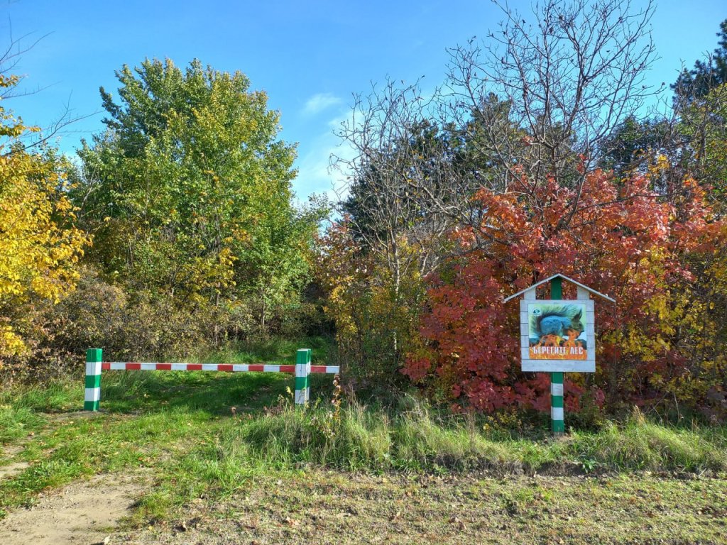 Відновлення ДІБРОВ