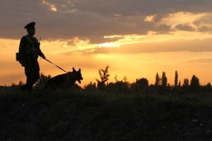 Вартові кордону
