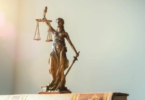 ГОСПОДАРСЬКІ СПОРИ  ВИРІШУЮТЬ СУДДІ