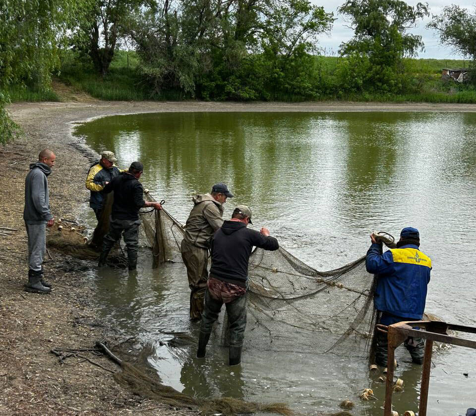Дбати про природу рідного краю