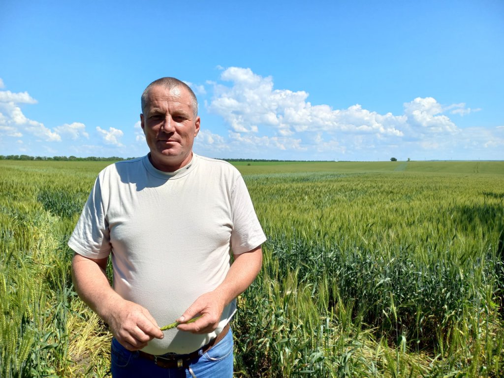 Дубоссарські аграрії ГОТУЮТЬСЯ ДО ЖНИВ