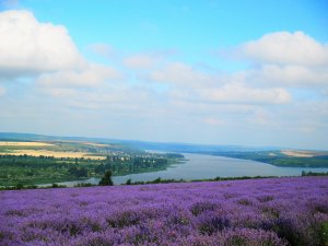 Край, мій рідний край…