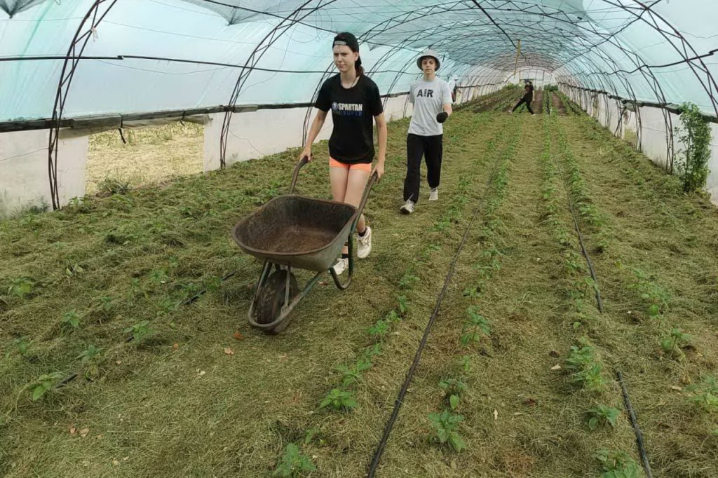 Про заробітки ПІД ЧАС  літніх канікул