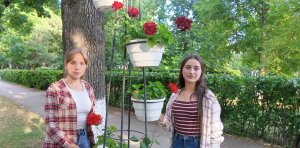 Працюють  і заробляють
