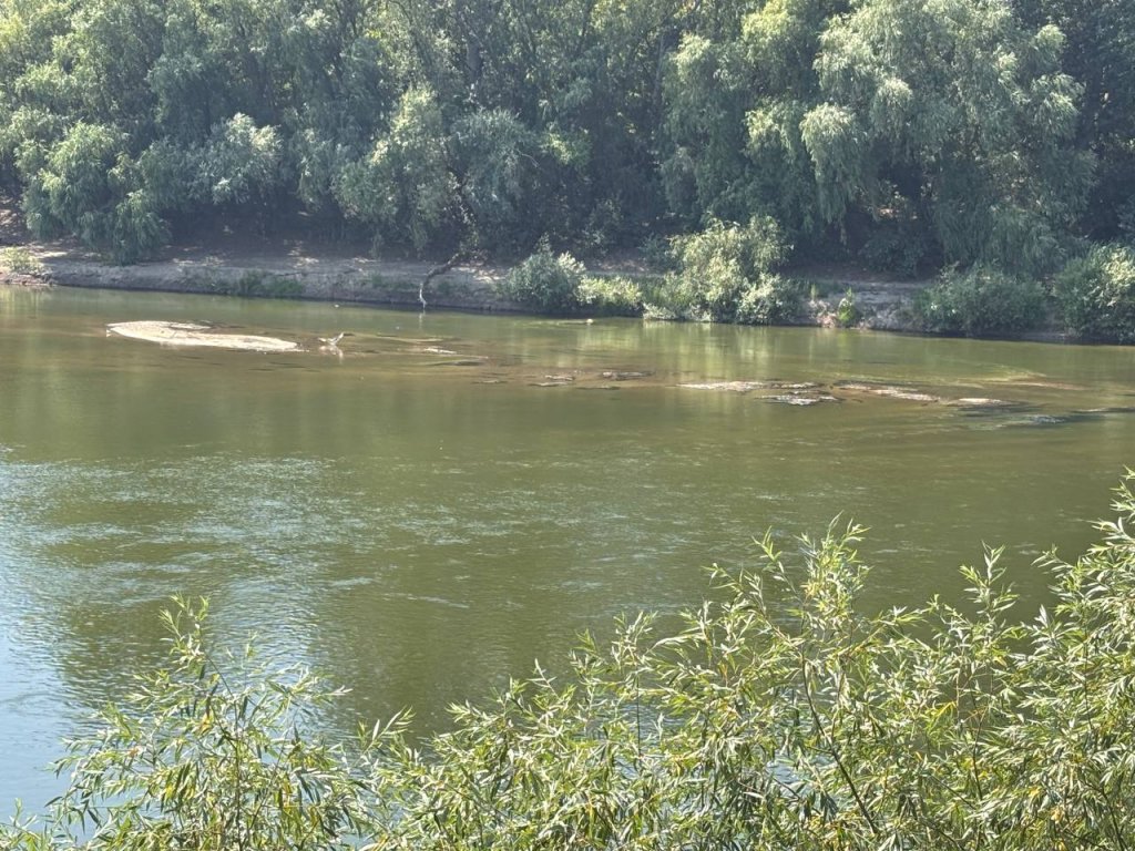 РІЧКА БЛАГАЄ ПРО ПОРЯТУНОК