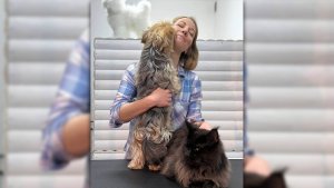 ЕСТЕТИКА ДЛЯ ЧОТИРИЛАПИХ