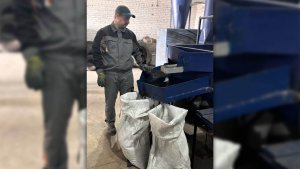 Стратегія –  екологічне використання